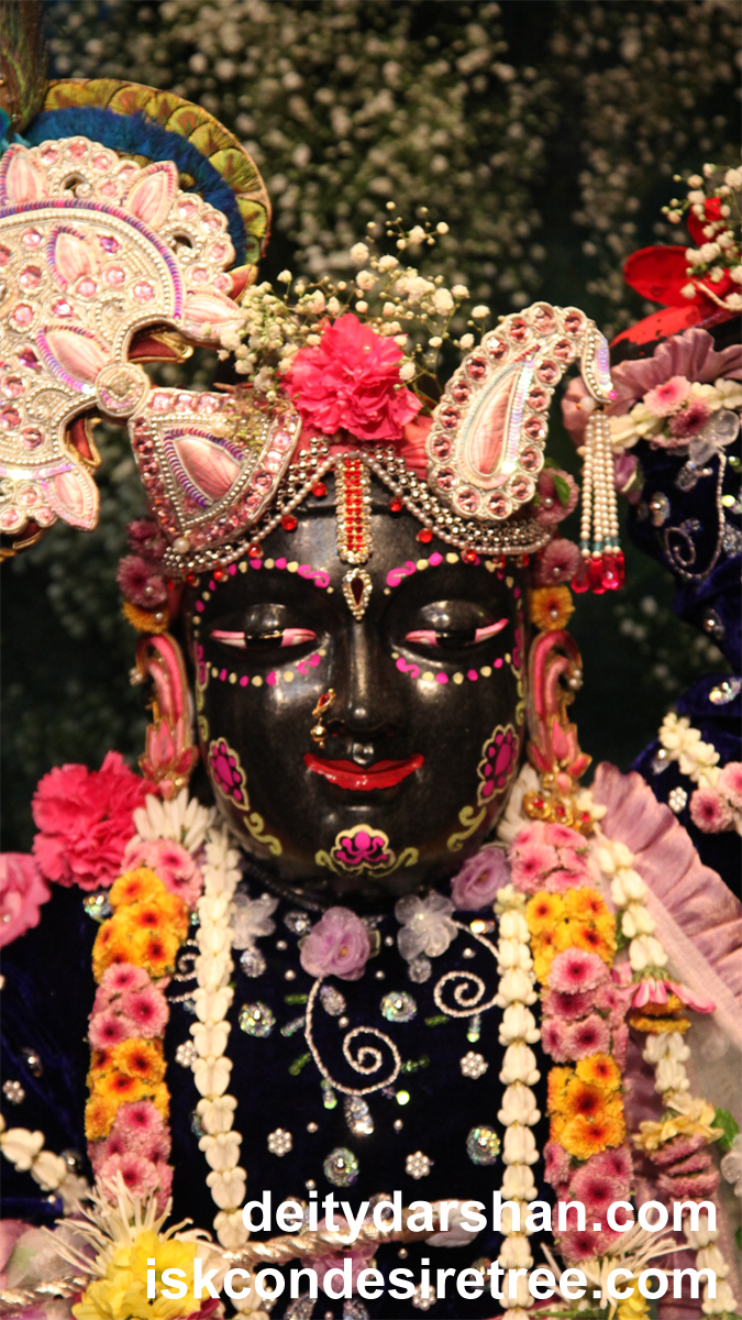 Sri Gopal Close up Wallpaper (017) Size 675x1200 Download