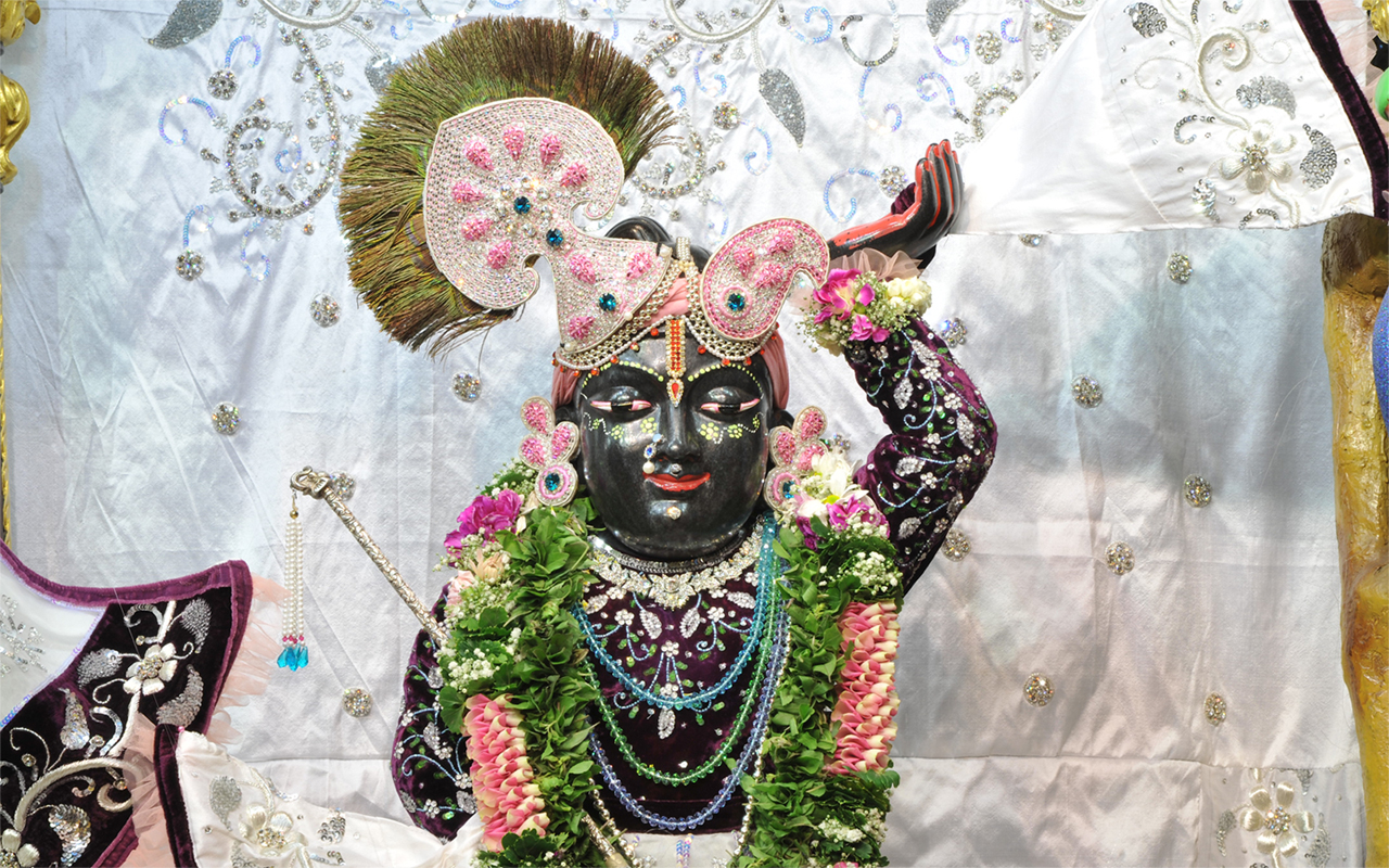 Sri Gopal Close up Wallpaper (018) Size 1280x800 Download