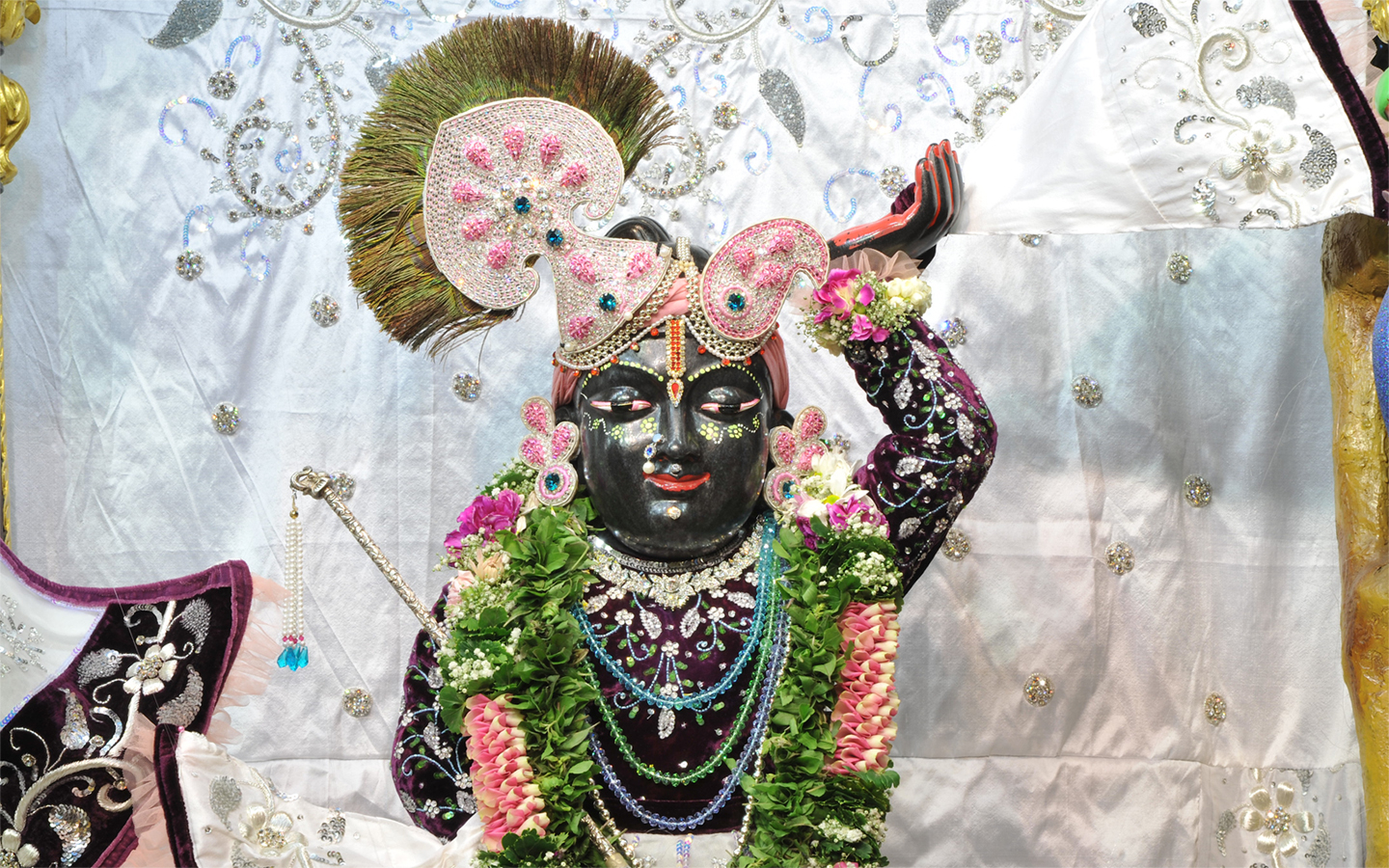 Sri Gopal Close up Wallpaper (018) Size 1440x900 Download