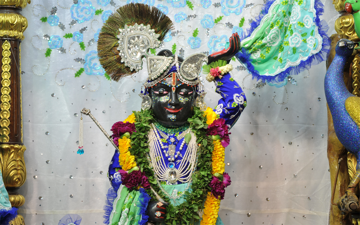 Sri Gopal Close up Wallpaper (019) Size 1440x900 Download