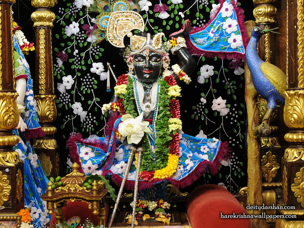 Sri Gopal Wallpaper (020) Size 1024x768 Download