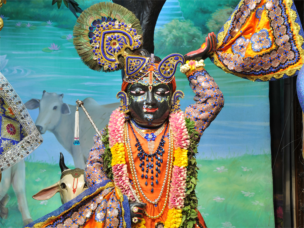 Sri Gopal Close up Wallpaper (020) Size 1024x768 Download