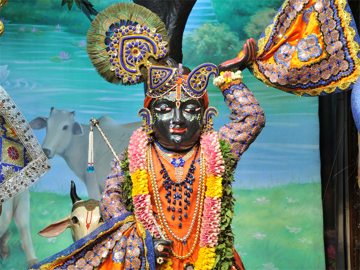Sri Gopal Close up Wallpaper (020) Size 1152x864 Download