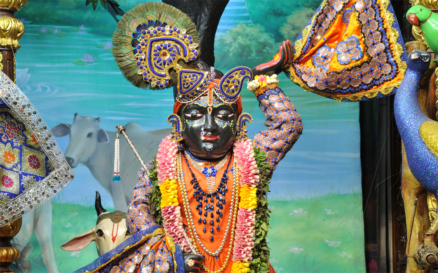 Sri Gopal Close up Wallpaper (020) Size 1440x900 Download