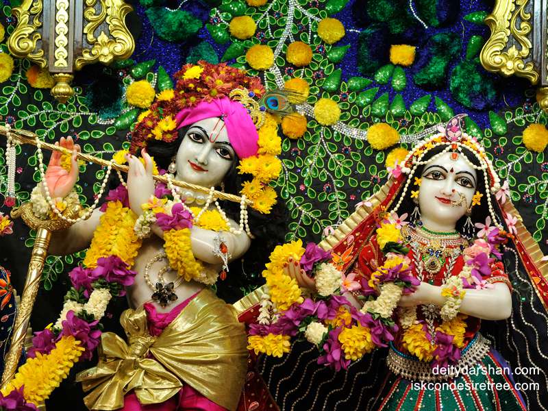 Sri Sri Radha Gopinath Close up Wallpaper (020)