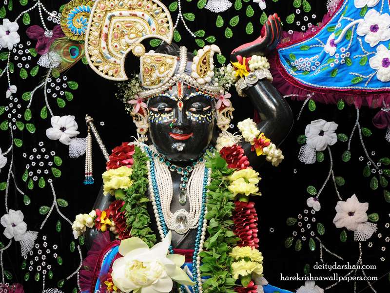 Sri Gopal Closeup Wallpaper (021)