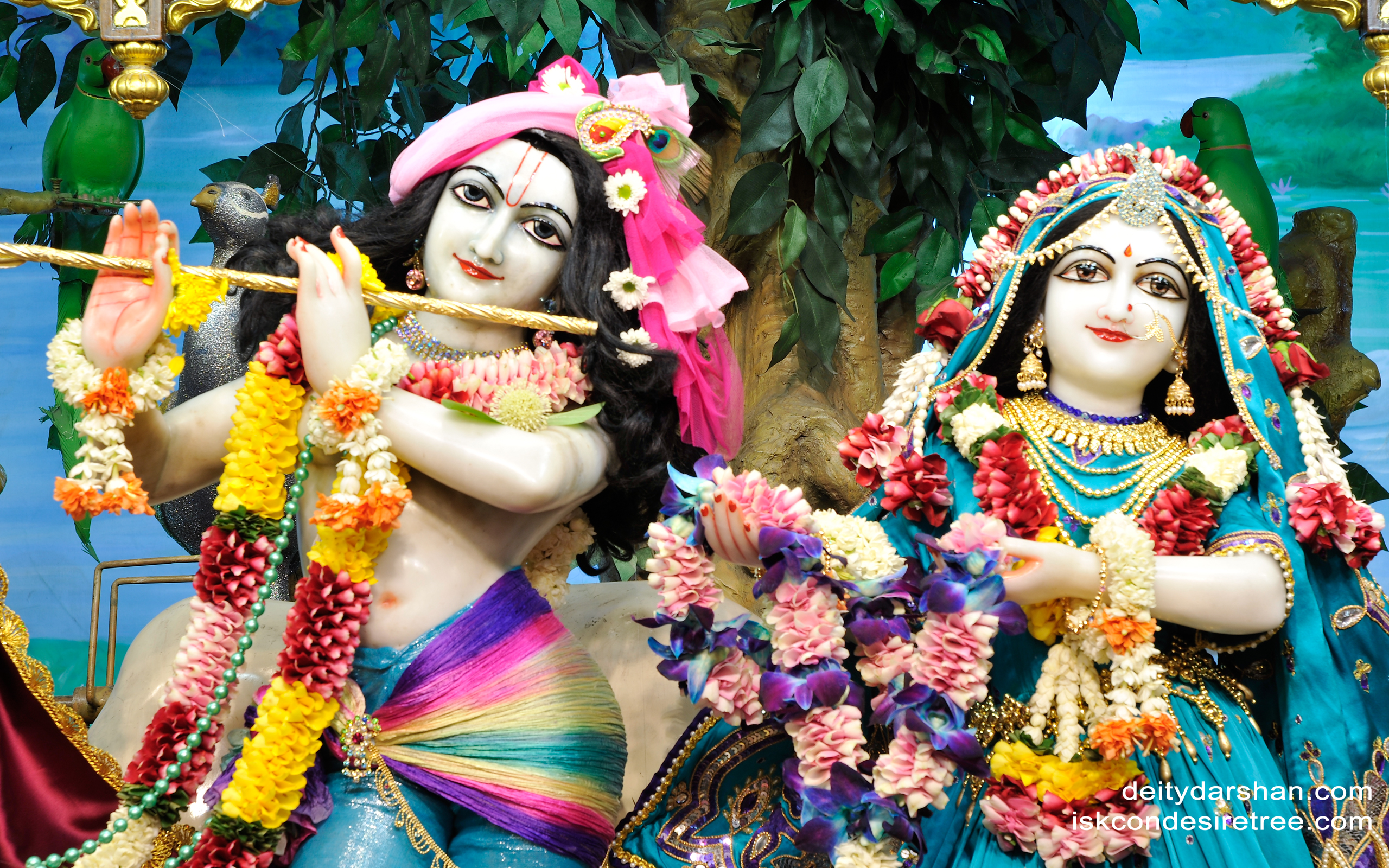 Sri Sri Radha Gopinath Close up Wallpaper (021) Size 2560x1600 Download