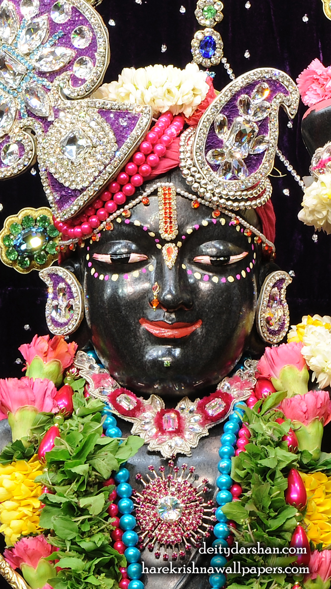 Sri Gopal Close up Wallpaper (022) Size 675x1200 Download
