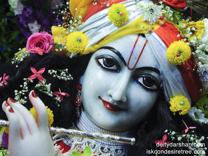 Sri Gopinath Close up Wallpaper (022) Size 800x600 Download