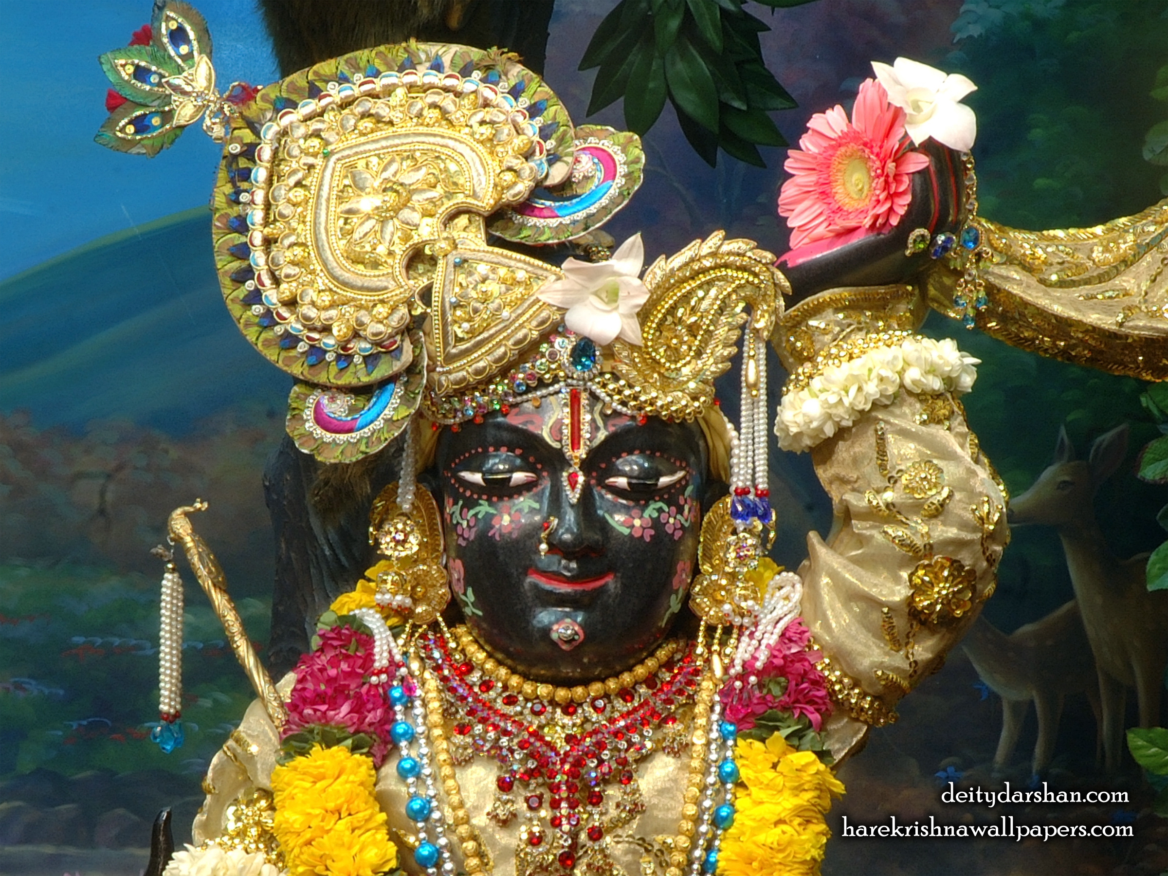 Sri Gopal Close up Wallpaper (023) Size 2400x1800 Download