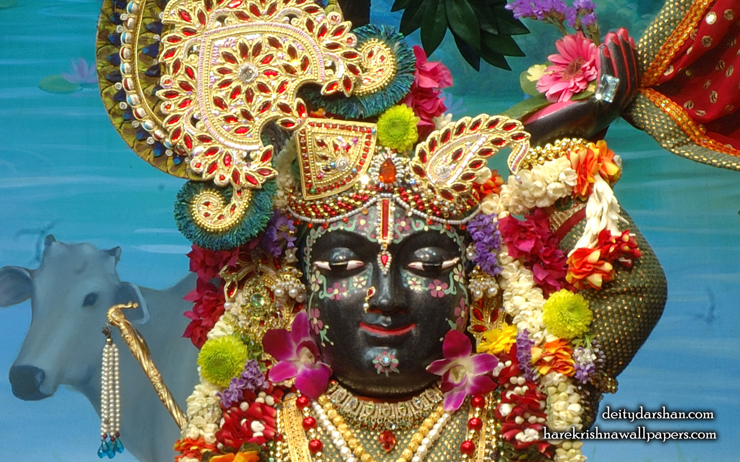 Sri Gopal Close up Wallpaper (024) Size 1440x900 Download
