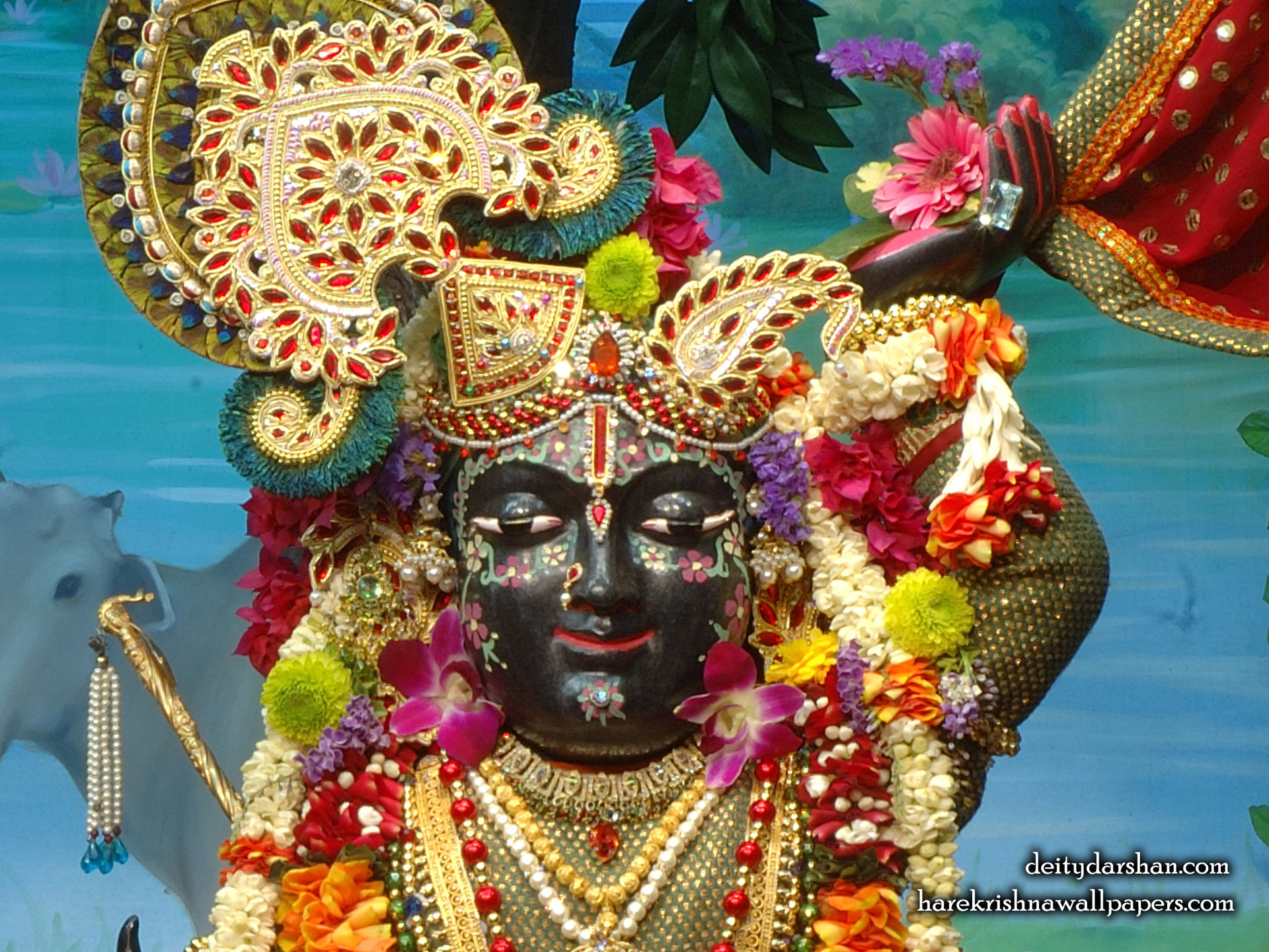 Sri Gopal Close up Wallpaper (024) Size 1920x1440 Download