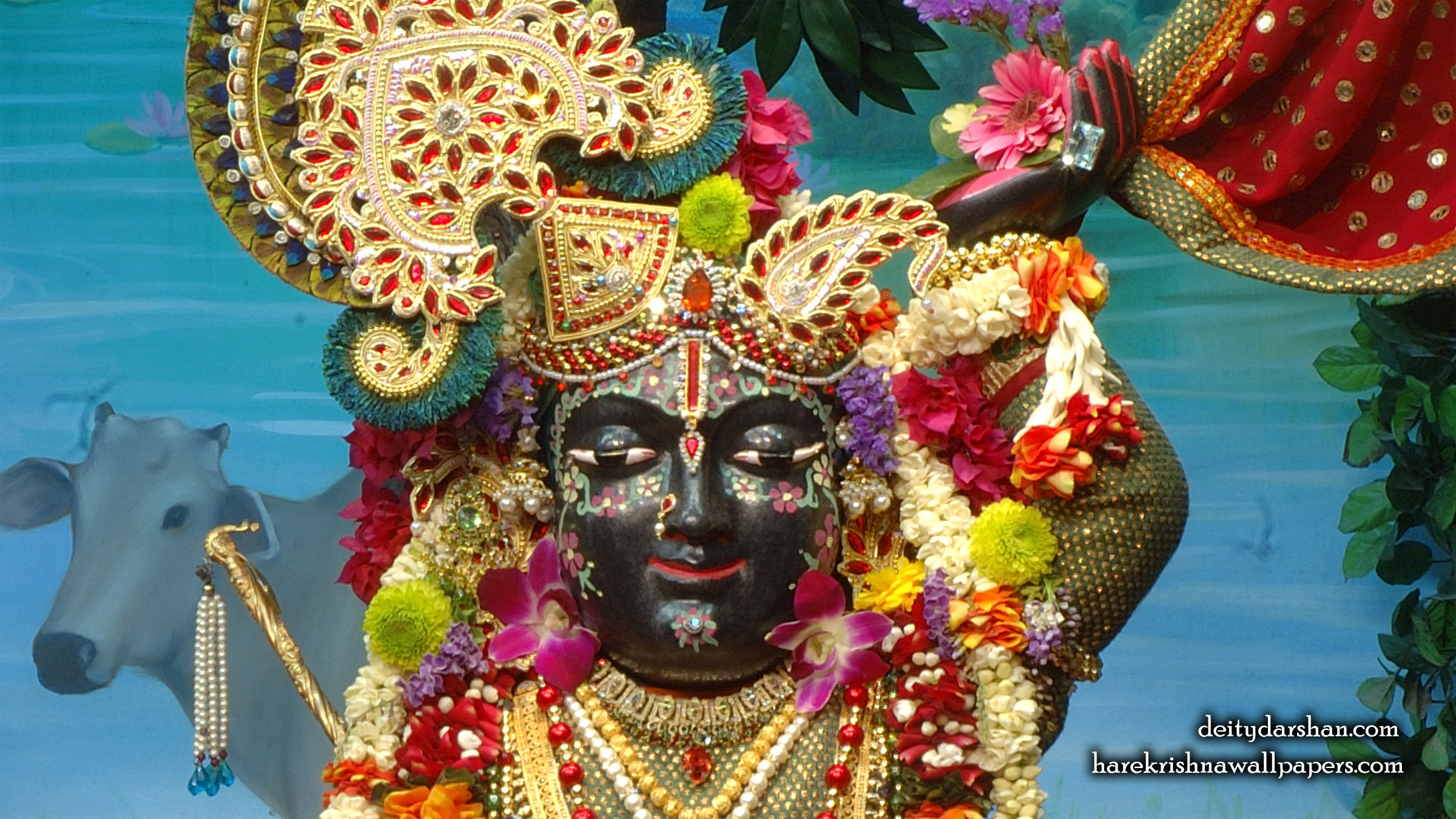 Sri Gopal Close up Wallpaper (024) Size 2400x1350 Download