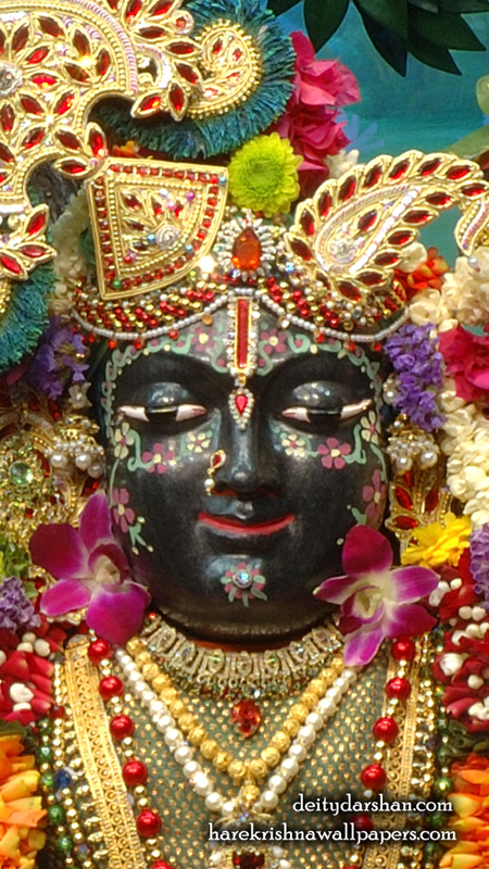 Sri Gopal Close up Wallpaper (024) Size 450x800 Download