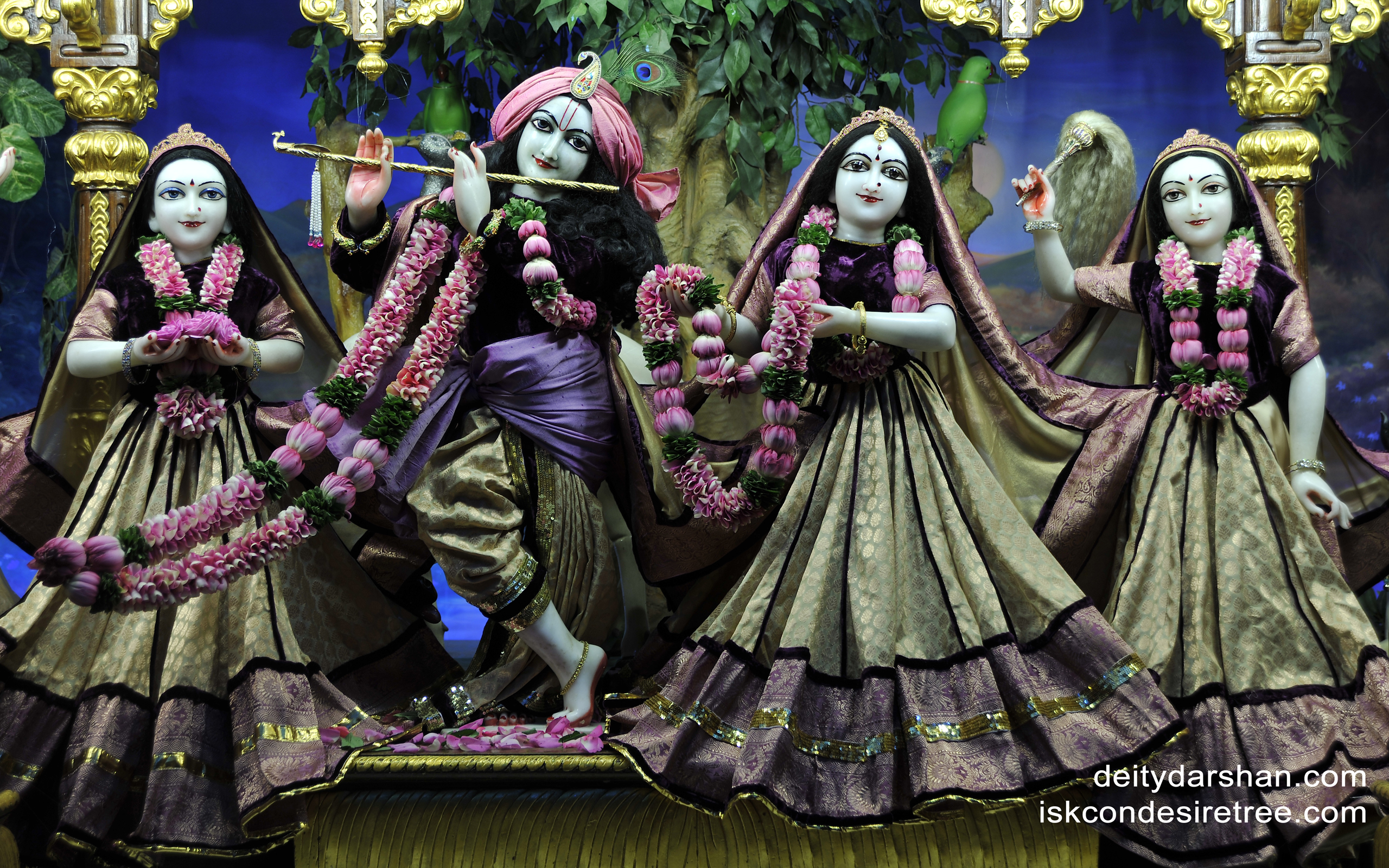 Sri Sri Radha Gopinath Lalita Vishakha Wallpaper (024) Size 2560x1600 Download