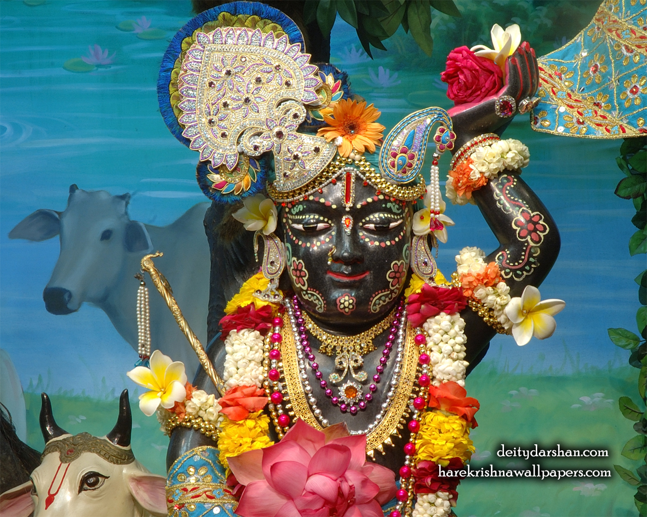 Sri Gopal Close up Wallpaper (025) Size 1280x1024 Download