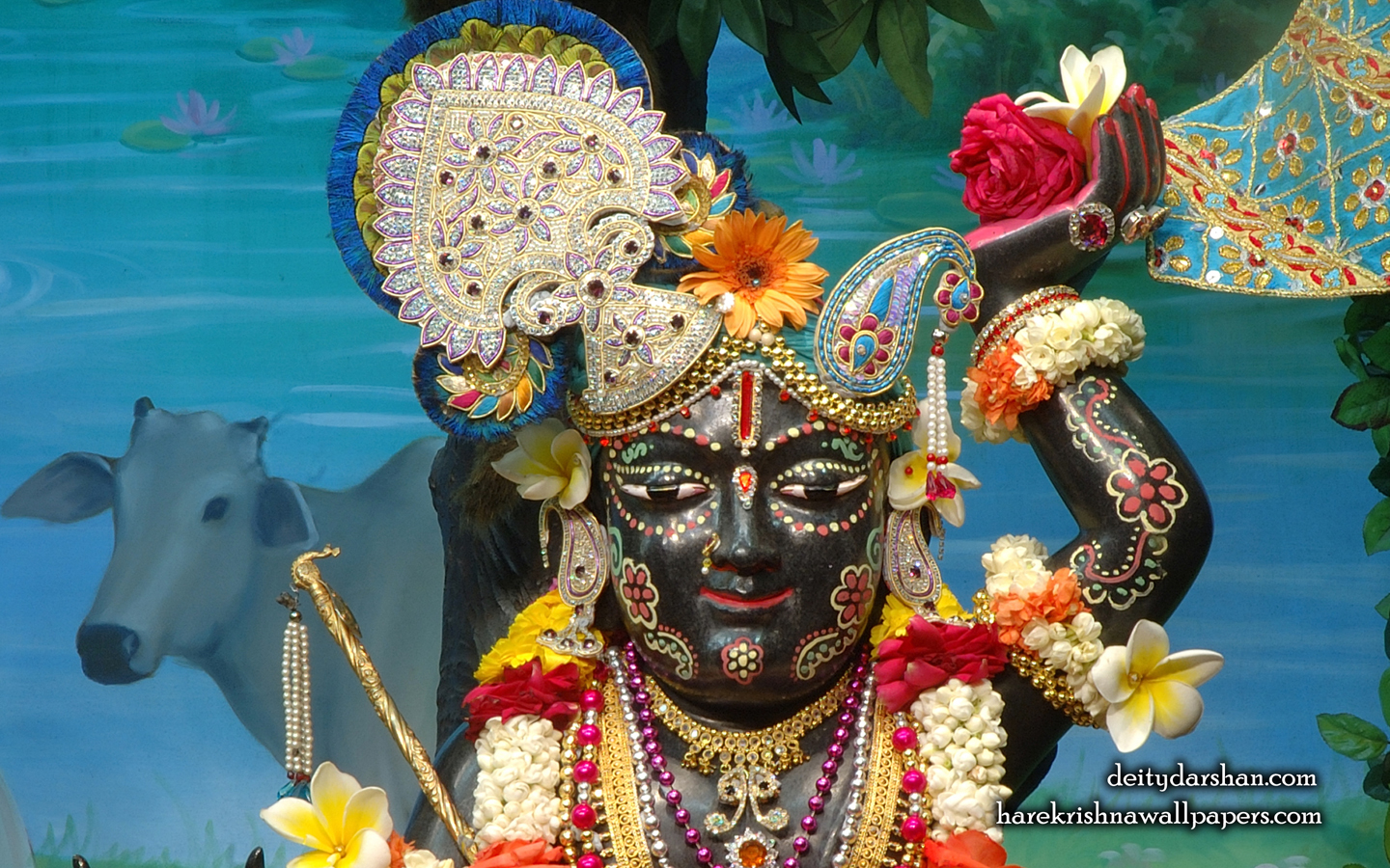 Sri Gopal Close up Wallpaper (025) Size 1440x900 Download