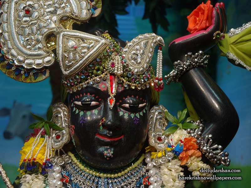 Sri Gopal Close up Wallpaper (026)