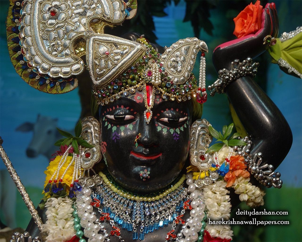 Sri Gopal Close up Wallpaper (026) Size 1280x1024 Download