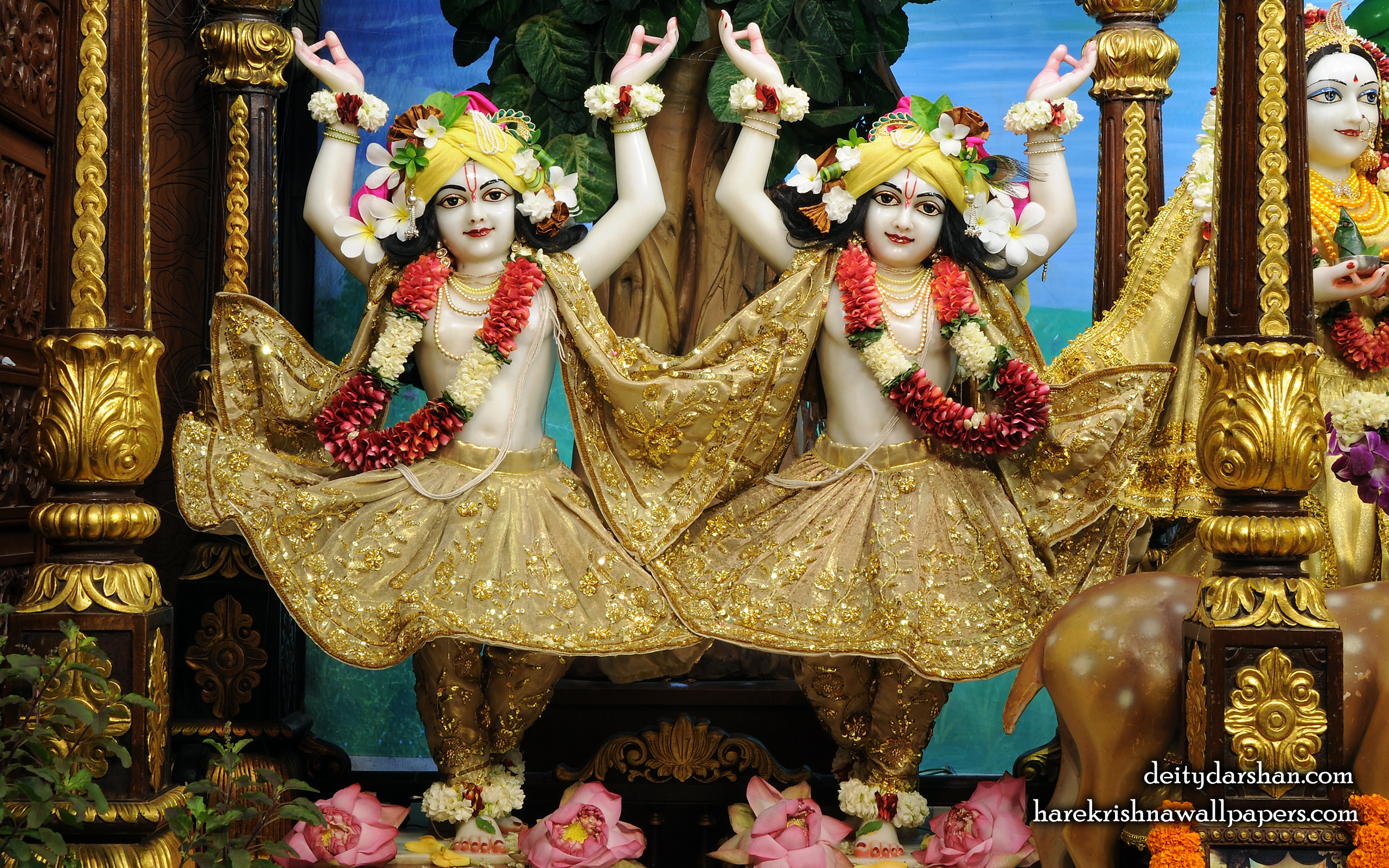 Sri Sri Nitai Gaurachandra Wallpaer (026) Size 2560x1600 Download