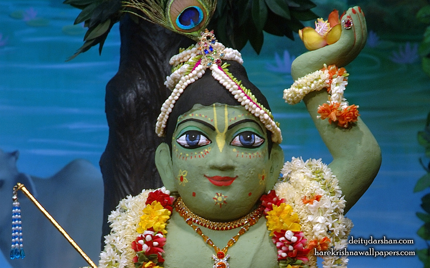 Sri Gopal Close up Wallpaper (027) Size 1440x900 Download