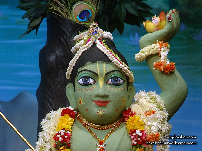 Sri Gopal Close up Wallpaper (027) Size 800x600 Download