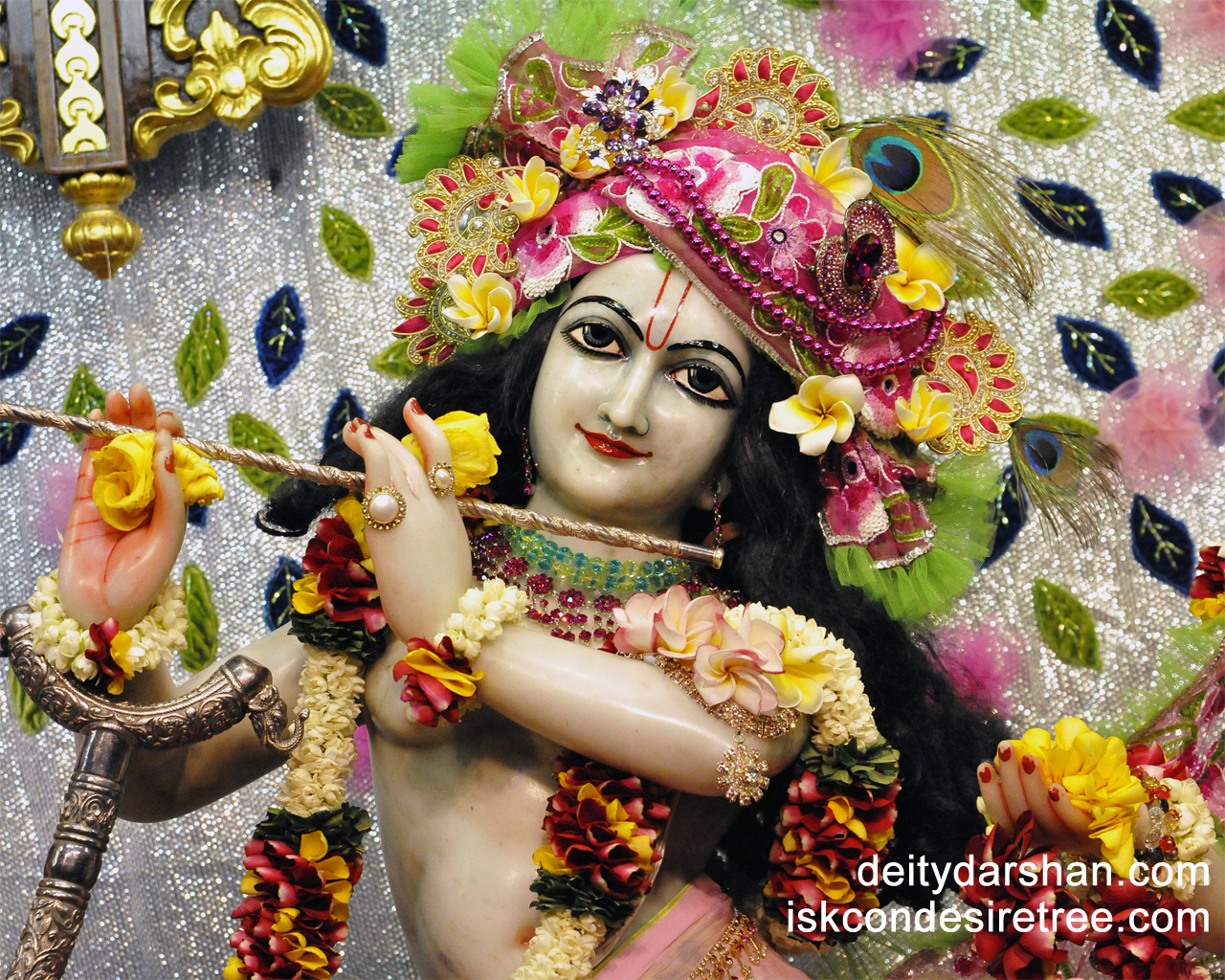 Sri Gopinath Close up Wallpaper (027) Size 1280x1024 Download