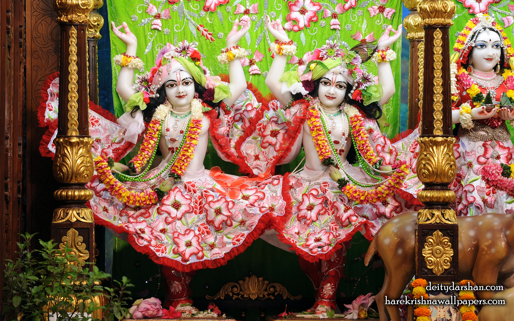 Sri Sri Nitai Gaurachandra Wallpaer (027) Size 1680x1050 Download