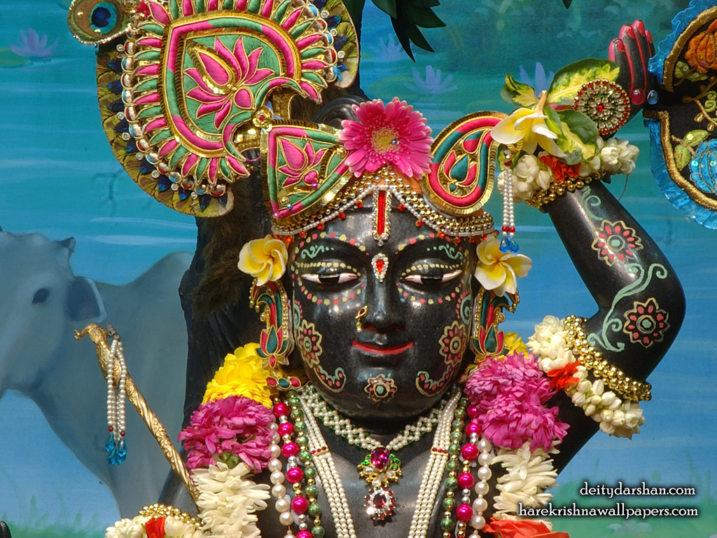 Sri Gopal Close up Wallpaper (028) Size 1024x768 Download