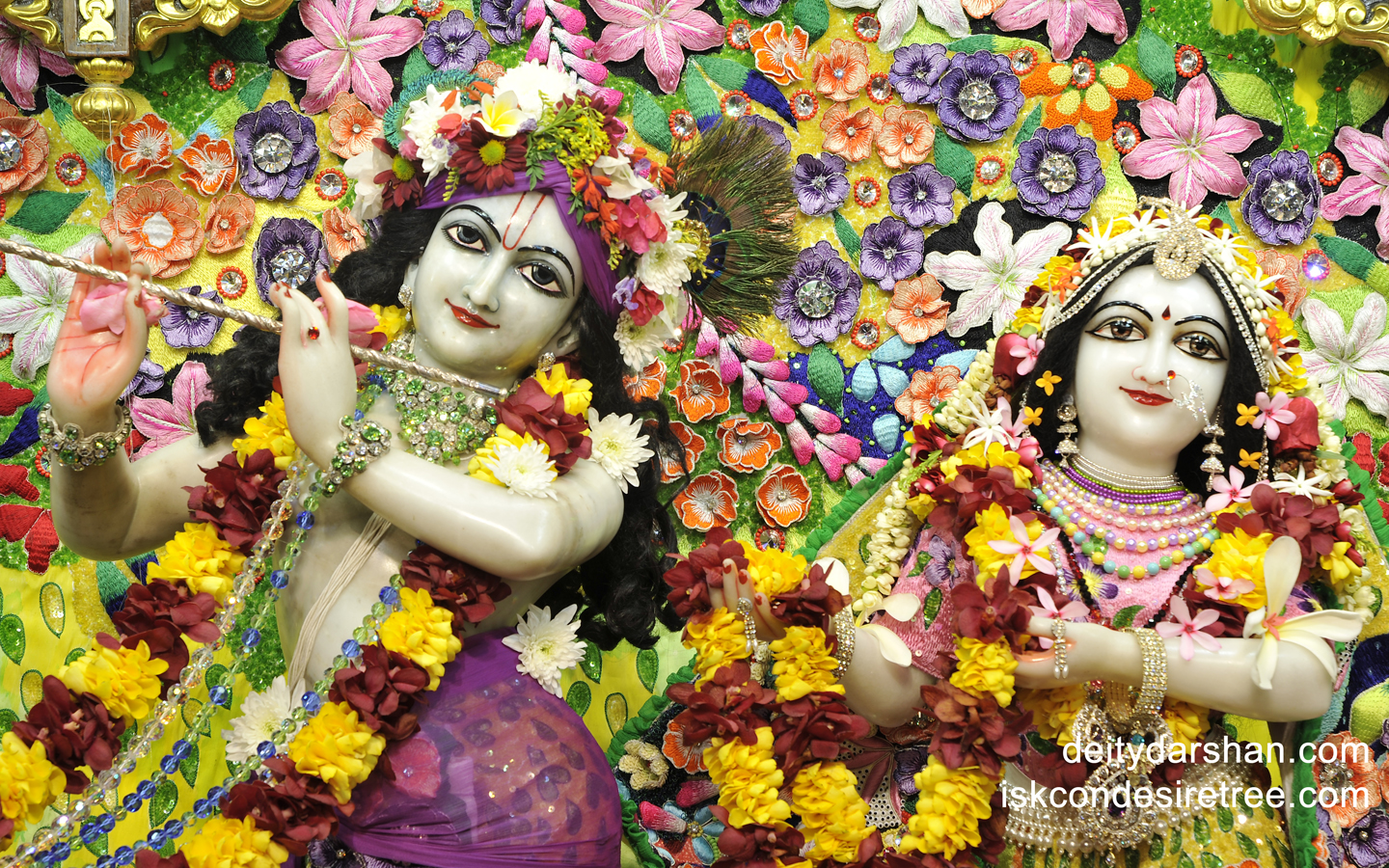 Sri Sri Radha Gopinath Close up Wallpaper (028) Size 1440x900 Download