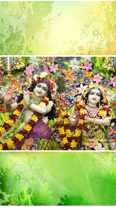 Sri Sri Radha Gopinath Close up Wallpaper (028) Size 450x800 Download