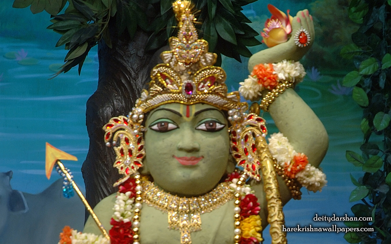 Sri Gopal Close up Wallpaper (029) Size 1280x800 Download