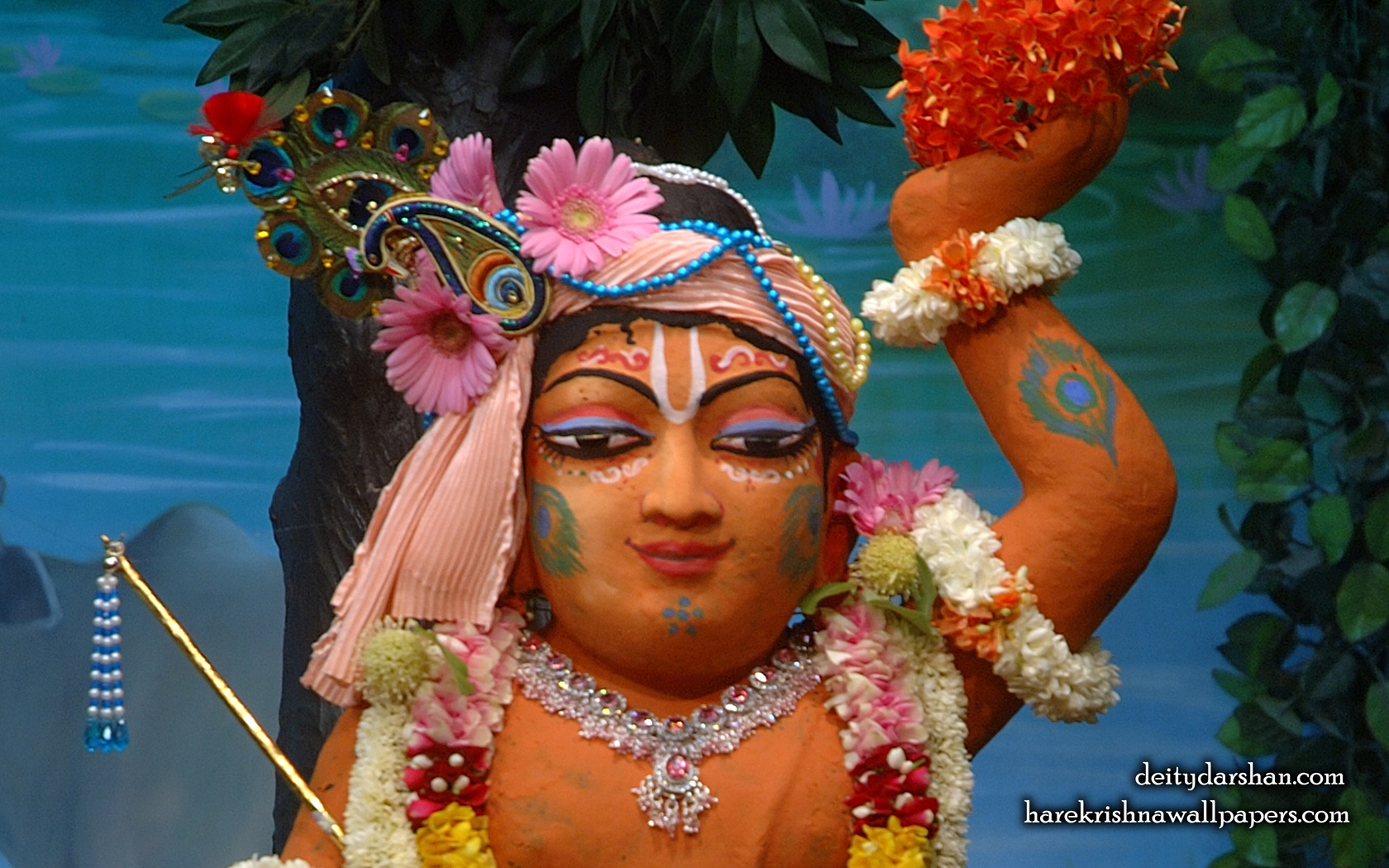 Sri Gopal Close up Wallpaper (030) Size 1680x1050 Download