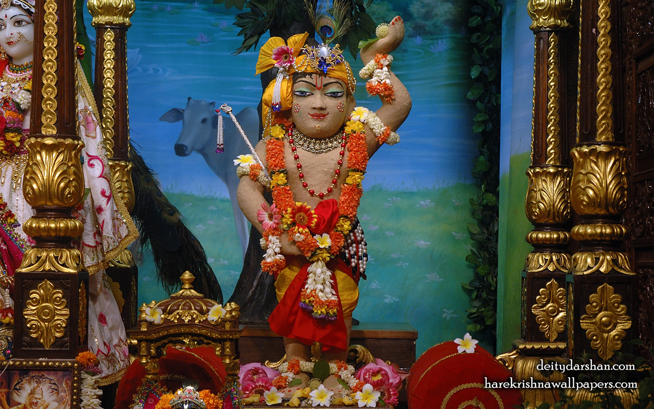 Sri Gopal Wallpaper (031) Size 1280x800 Download