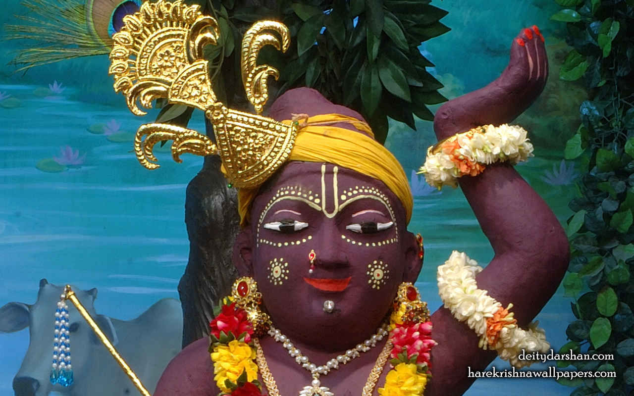 Sri Gopal Close up Wallpaper (031) Size 1280x800 Download