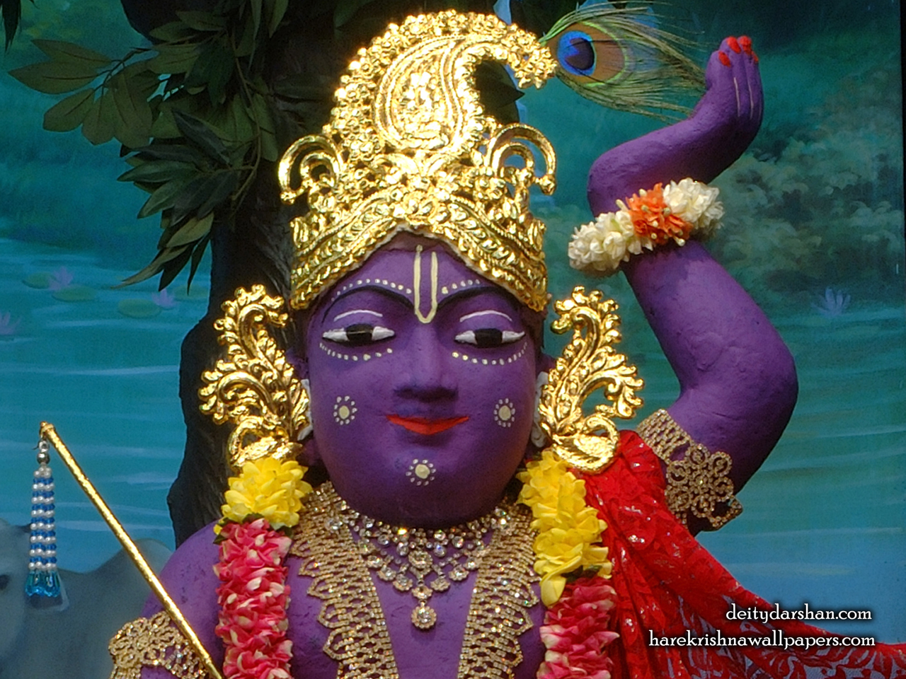 Sri Gopal Close up Wallpaper (032) Size 1280x960 Download