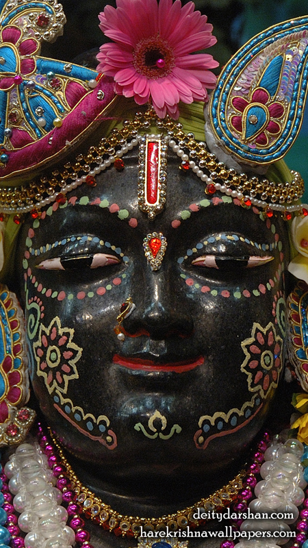 Sri Gopal Close up Wallpaper (033) Size 450x800 Download