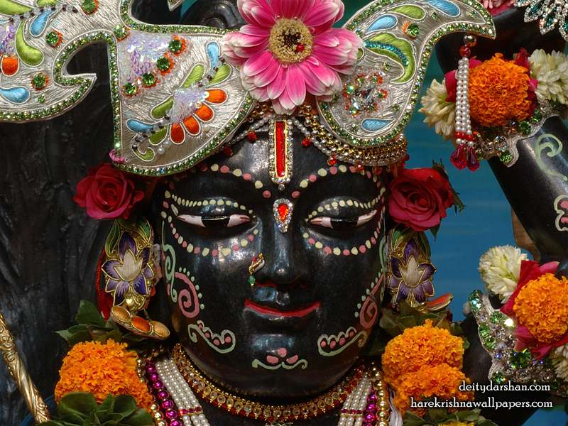 Sri Gopal Close up Wallpaper, Hare Krishna Wallpapers