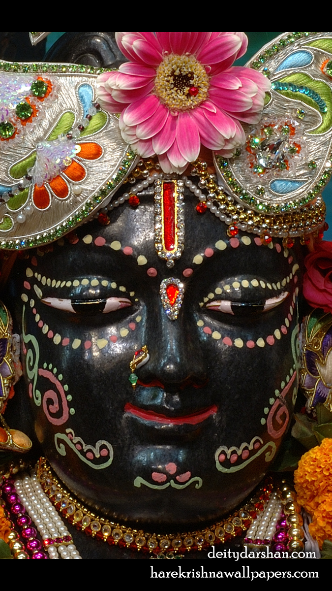 Sri Gopal Close up Wallpaper (034) Size 675x1200 Download
