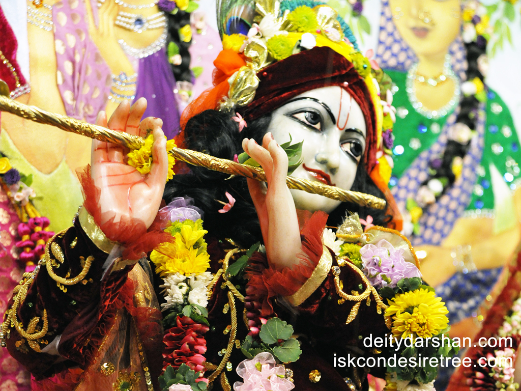 Sri Gopinath Close up Wallpaper (034) Size 1024x768 Download