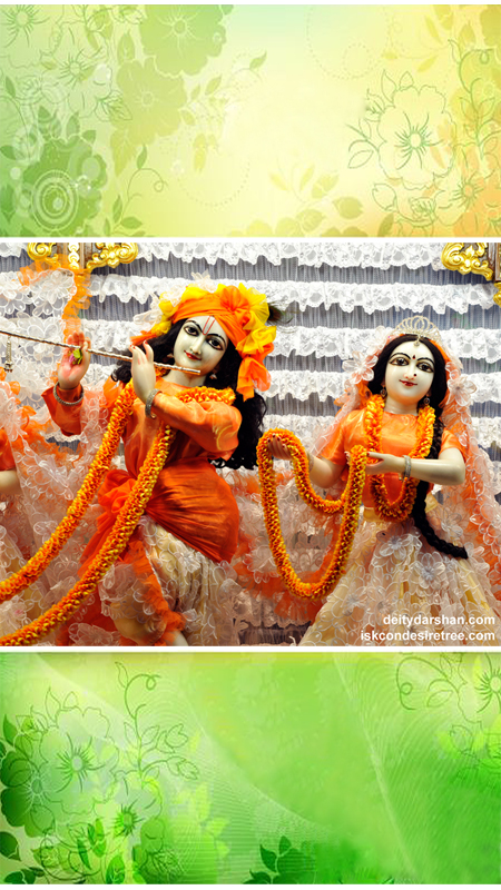 Sri Sri Radha Gopinath Close up Wallpaper (034) Size 450x800 Download