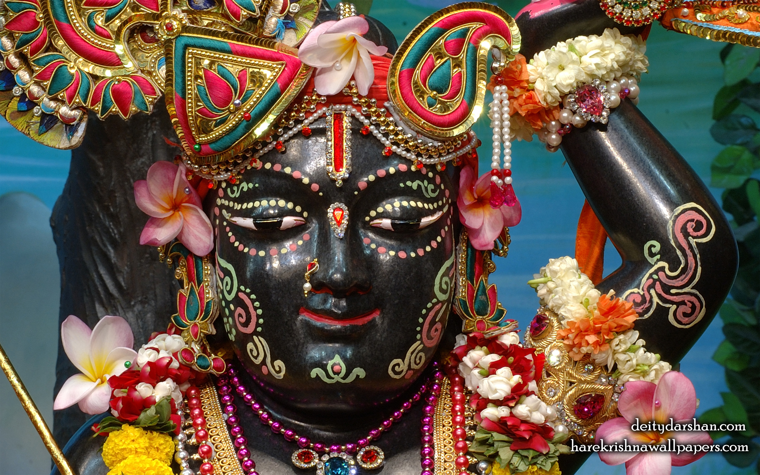 Sri Gopal Close up Wallpaper (035) Size 2560x1600 Download