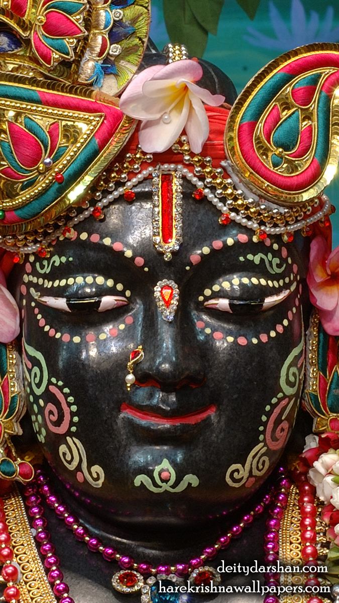 Sri Gopal Close up Wallpaper (035) Size 675x1200 Download