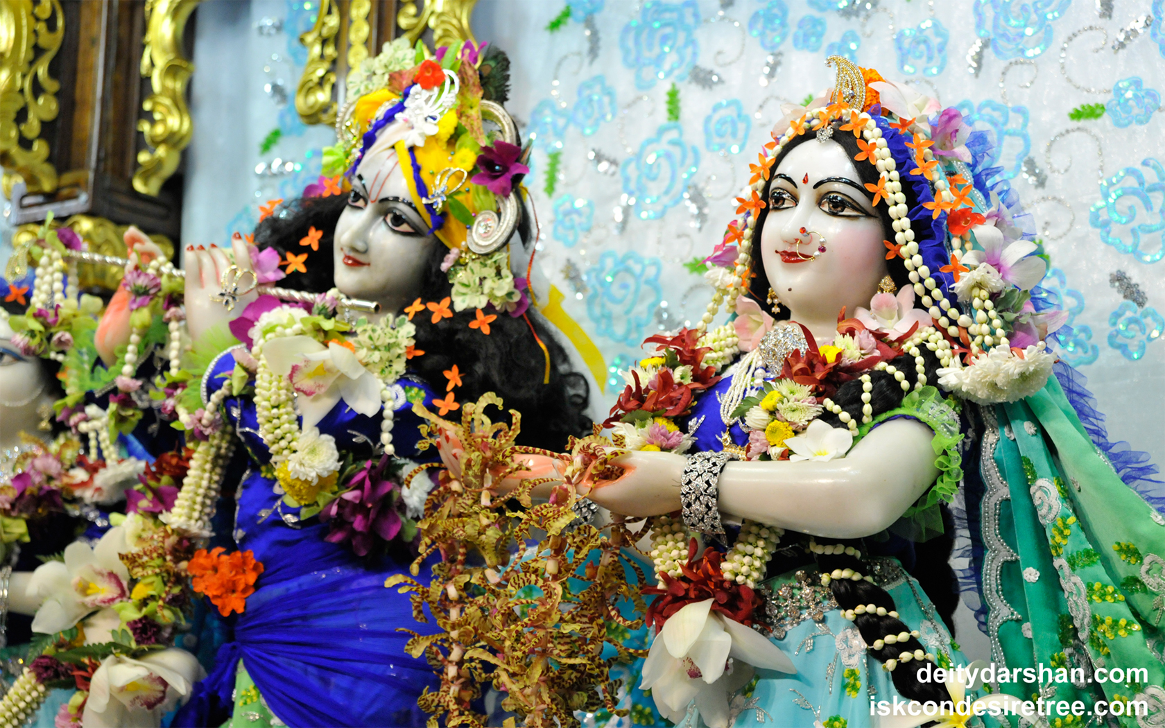 Sri Sri Radha Gopinath Close up Wallpaper (035) Size 1680x1050 Download