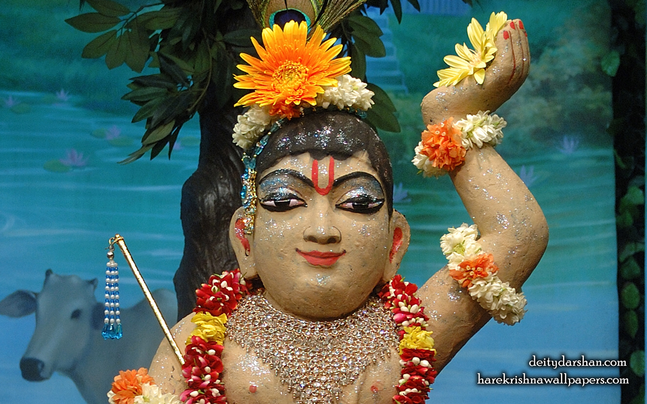 Sri Gopal Close up Wallpaper (036) Size 1280x800 Download