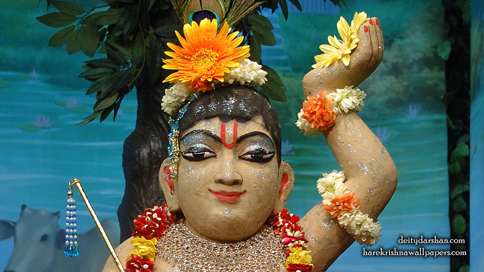 Sri Gopal Close up Wallpaper (036) Size 1600x900 Download