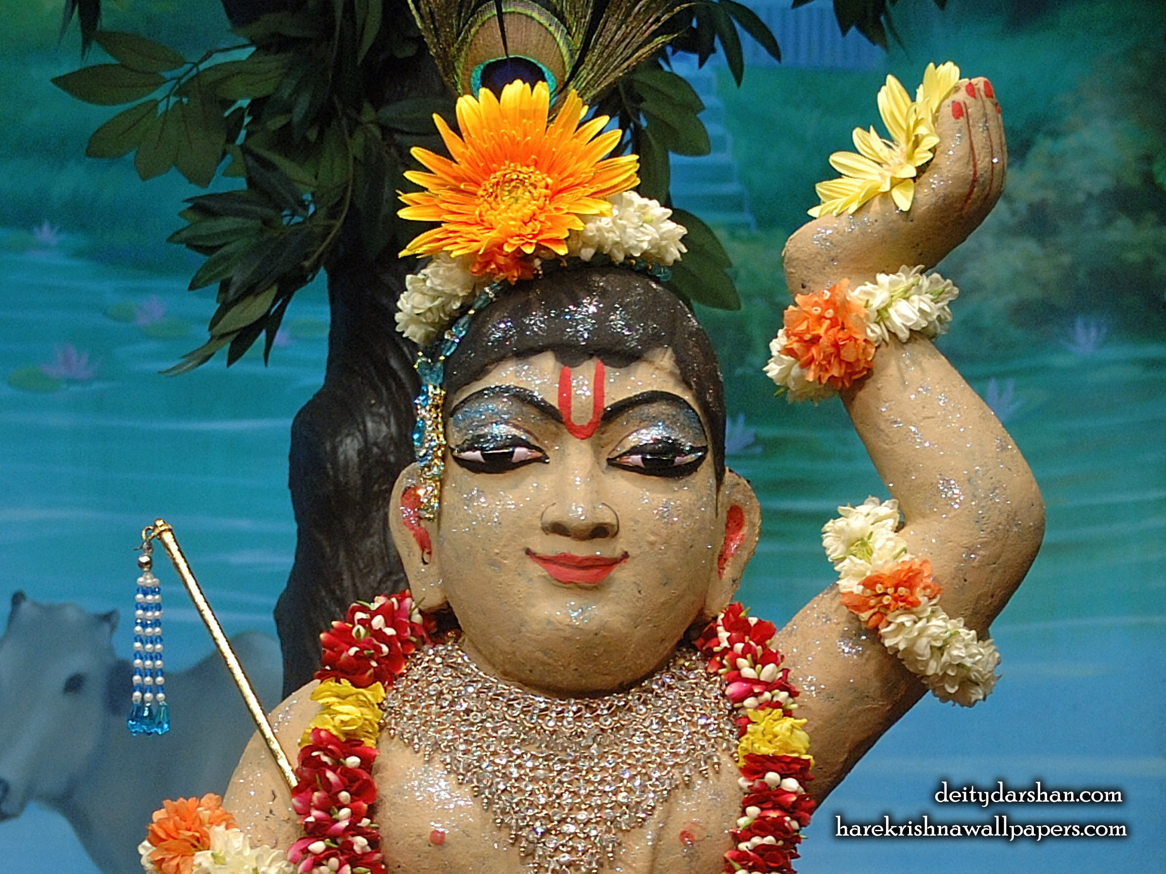 Sri Gopal Close up Wallpaper (036) Size 2400x1800 Download