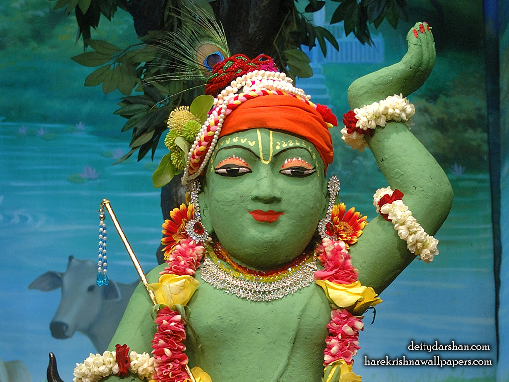 Sri Gopal Close up Wallpaper (037) Size 1024x768 Download