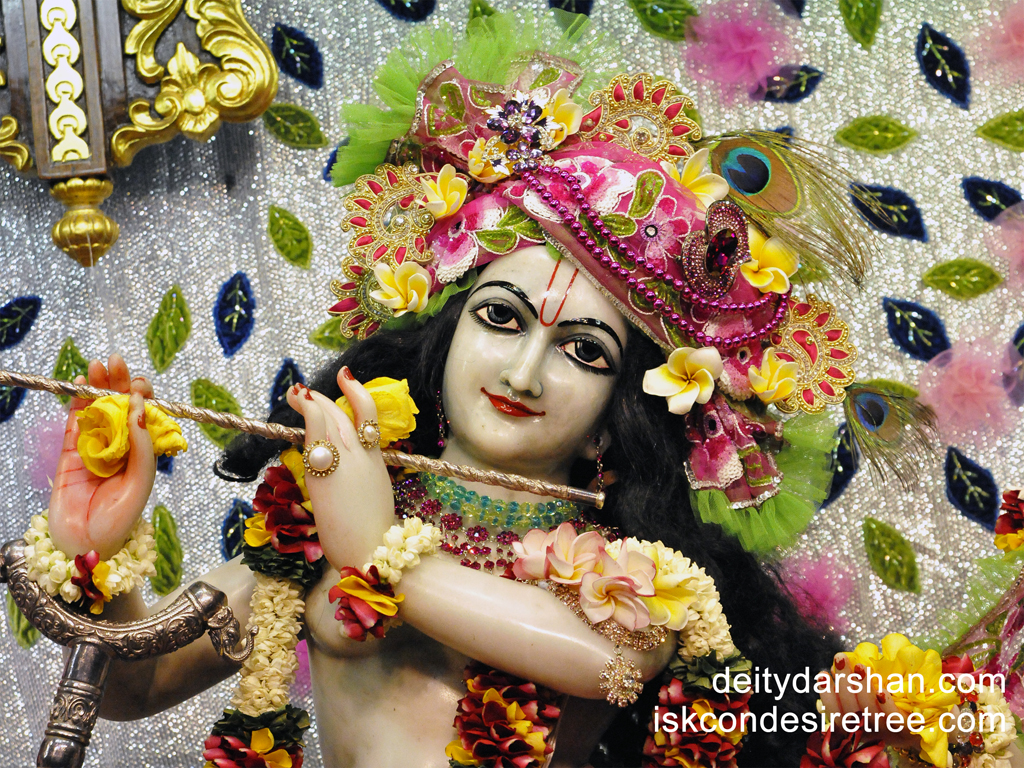 Sri Gopinath Close up Wallpaper (037) Size 1024x768 Download