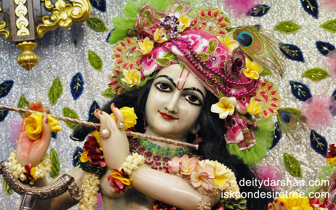 Sri Gopinath Close up Wallpaper (037) Size 1280x800 Download